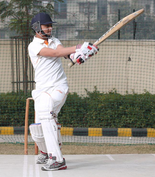 Cricket