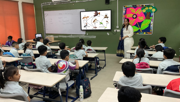 What is a Food Chain and its types & examples